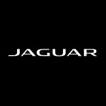 Profile picture of Jaguar