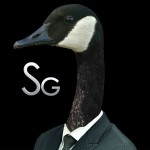 Profile picture of SavageGeese