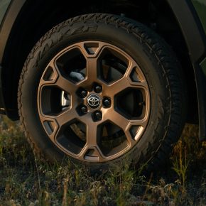 412307124_793359912598064_4813869532798880275_n 