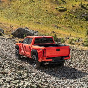 432428655_842396831027705_4113176605286758917_n 