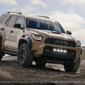 436954522_859048366029218_8675155376335437298_n 