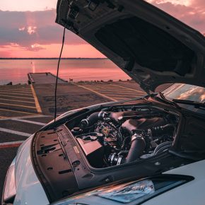 583173926_1160422286204066_6615115442836332901_n 