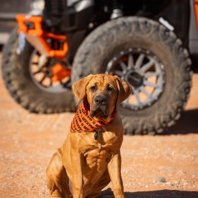 461948948_18461387845053606_1347400174408485640_n 